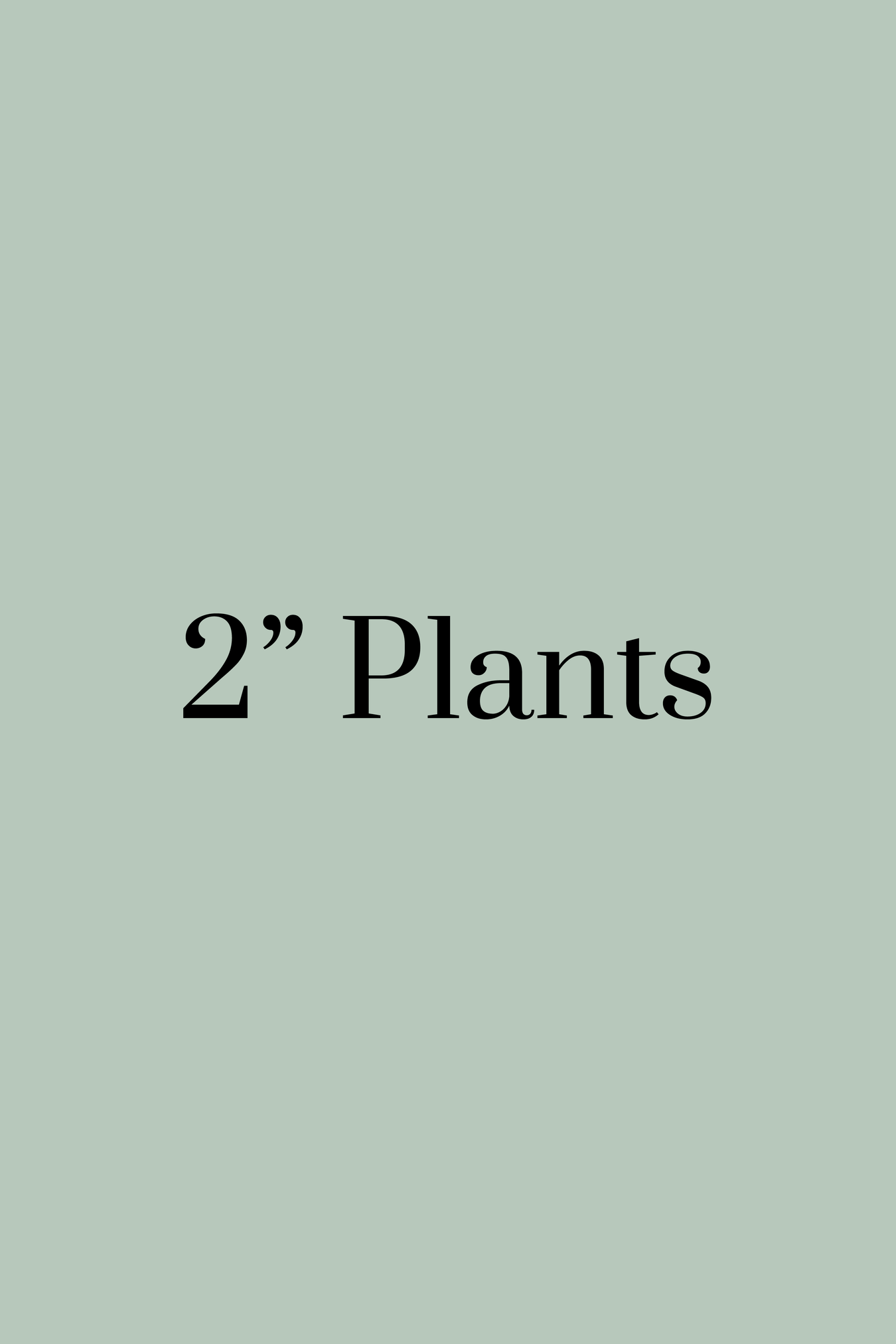 Two Inch Plants