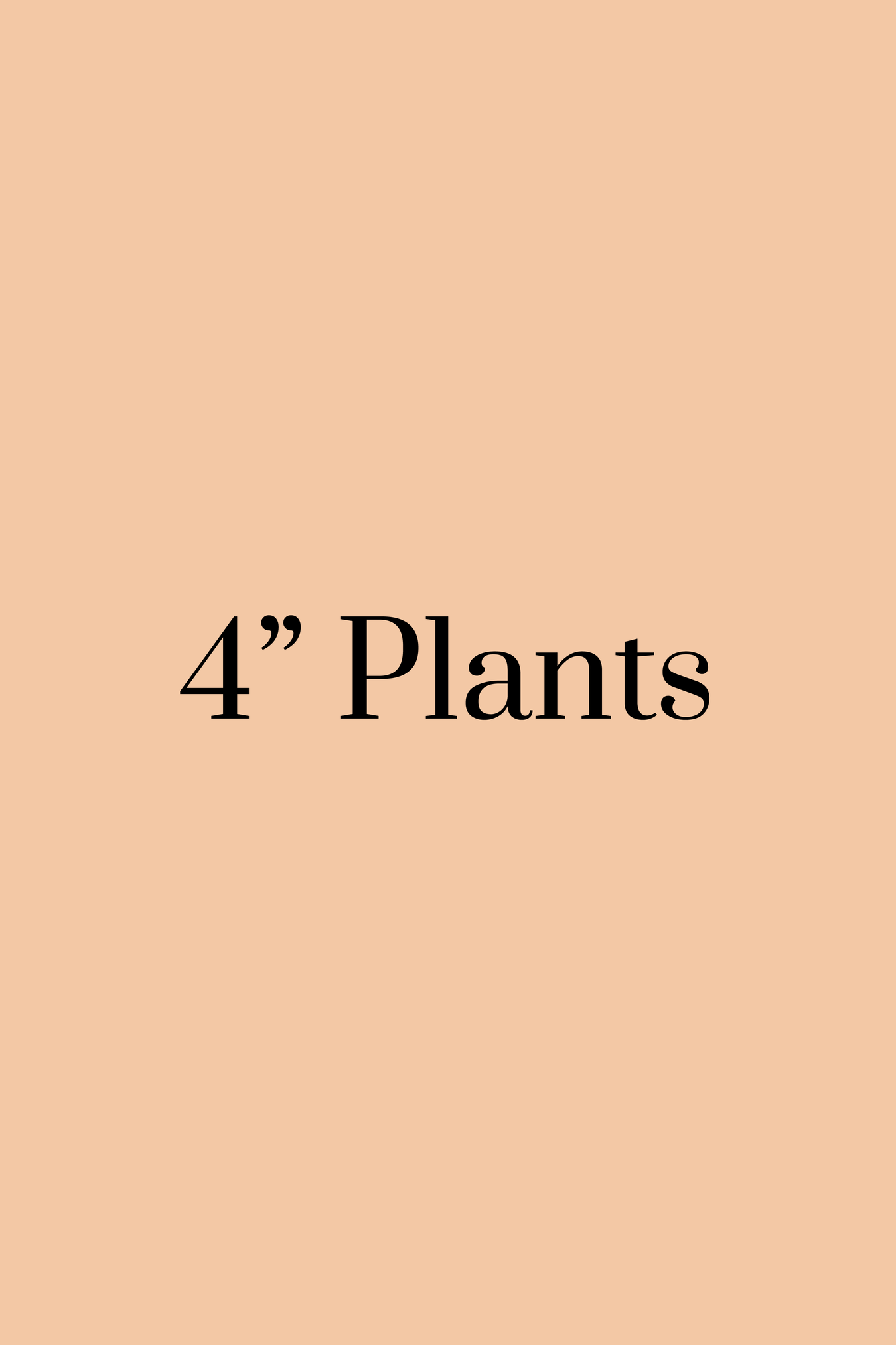 Four Inch Plants