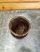 The Plant Farm® Pottery The Teacup Pot - Brick Red