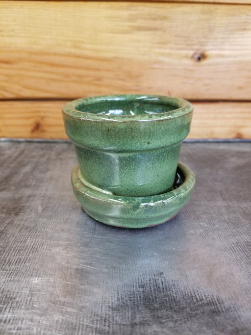 The Plant Farm® Pottery The Teacup Pot - Matcha Green