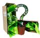 The Plant Farm Houseplants 4" Subscription Box