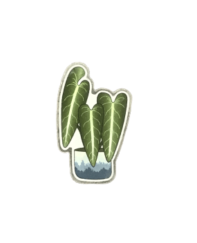 The Plant Farm Stickers and Keychains Philodendron Melanochrysum Pin
