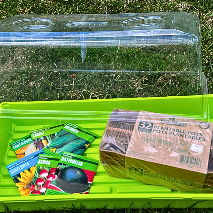 Seed with a mini bright green greenhouse and recyclable planting boxes