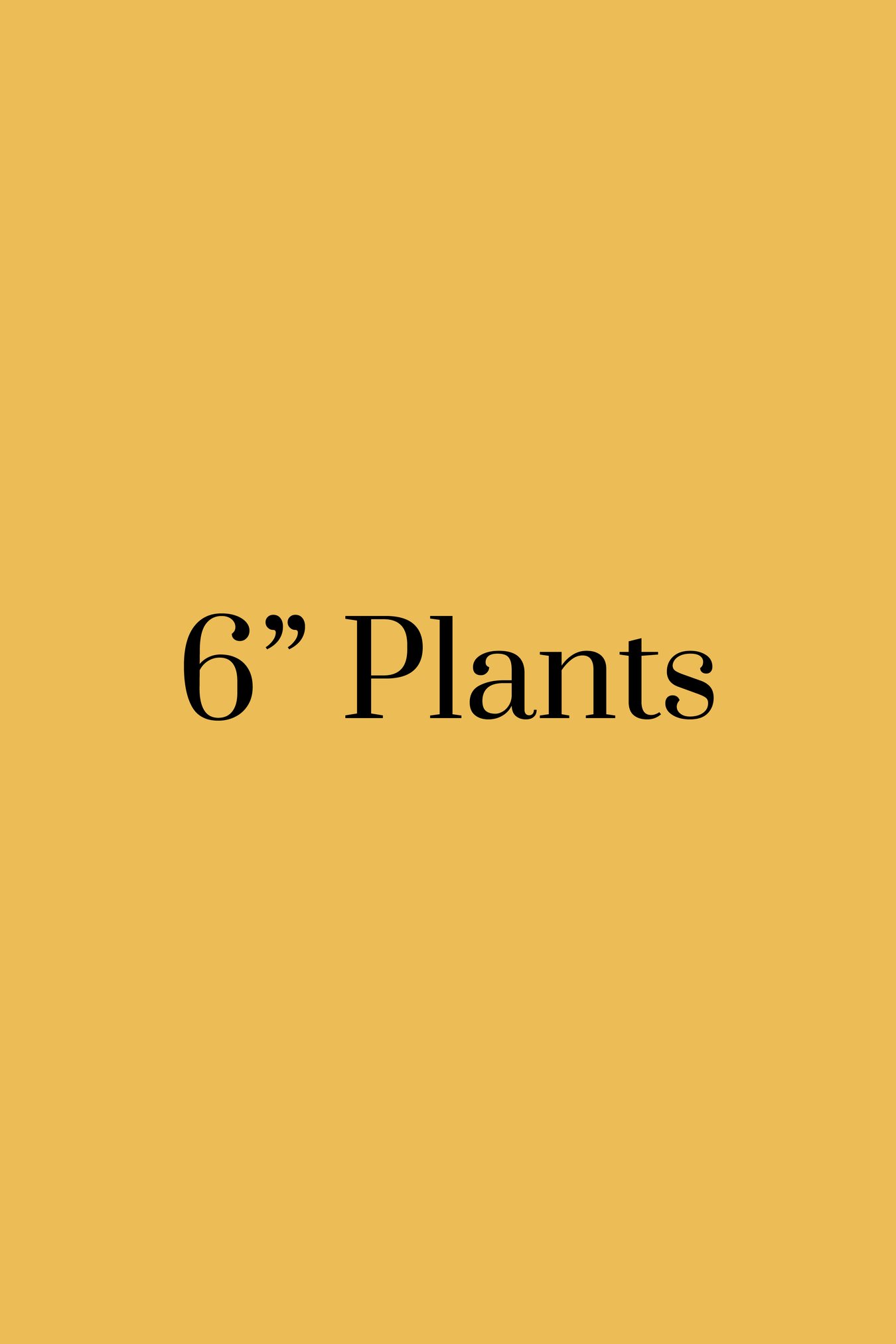 Six Inch Plants