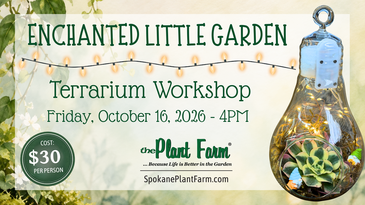 Enchanted Little Garden Terrarium Workshop - Friday, October 16th @ 4PM