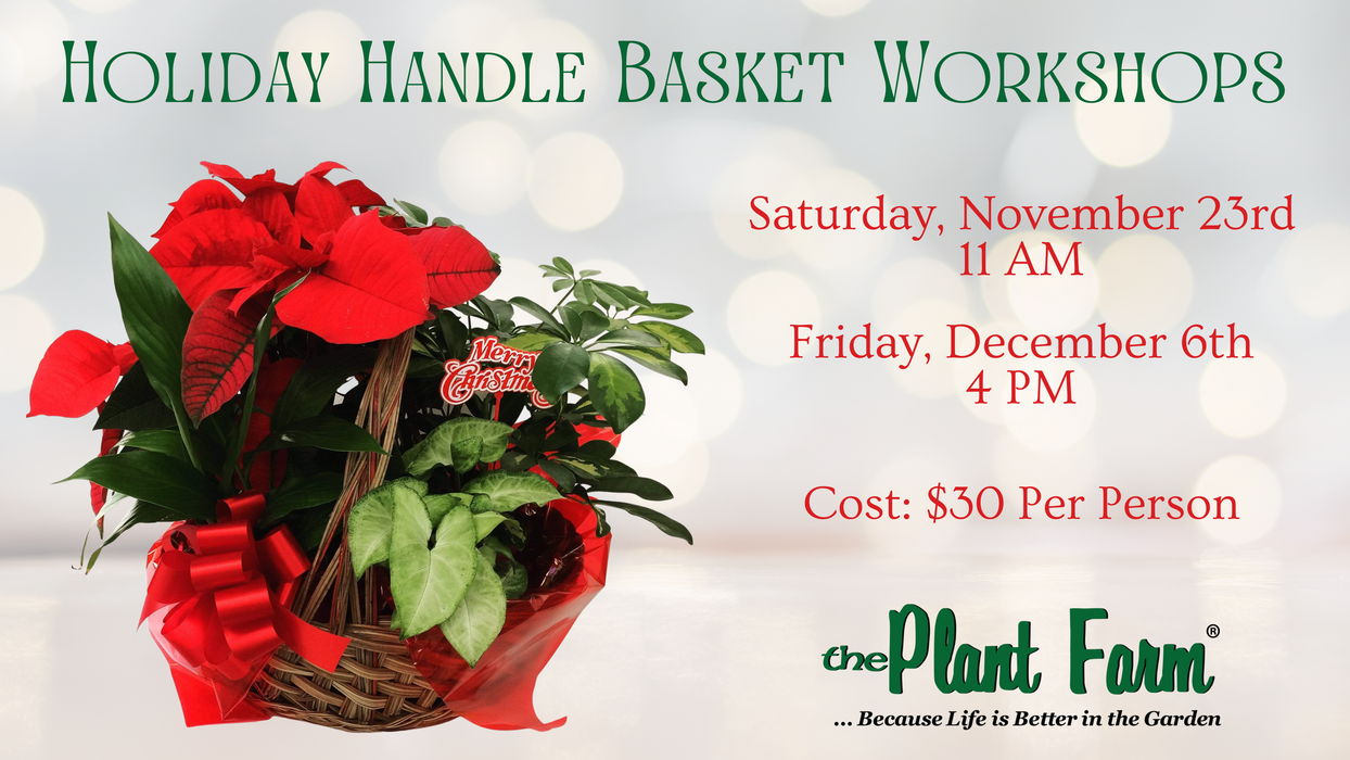 Holiday Handle Basket Workshop- Saturday, November 23rd at 11AM OR Friday, December 6th at 4PM