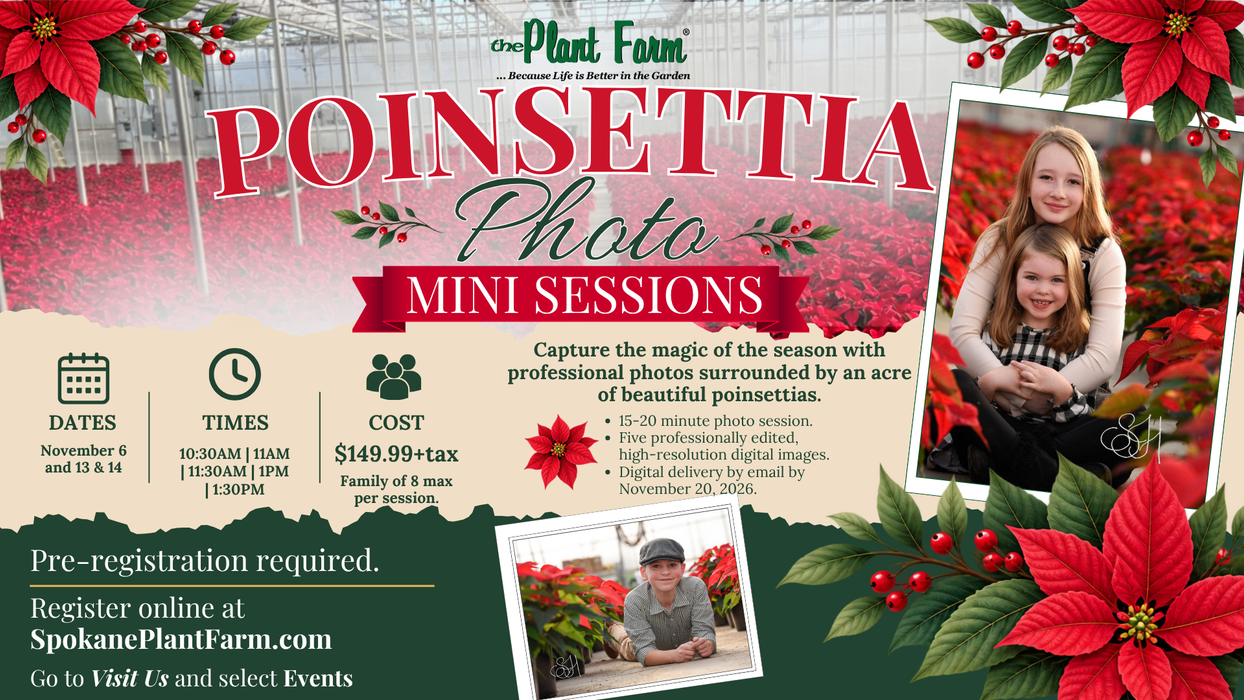 Poinsettia Photo Mini-Session- Friday, November 13 @ 10:30AM, 11AM, 11:30AM, 1PM, & 1:30PM