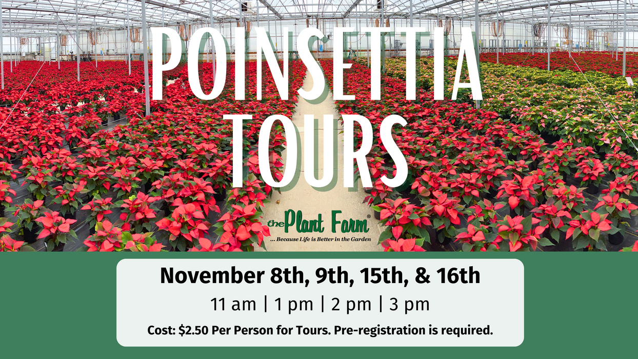 Poinsettia Greenhouse Tours -November 8th, 9th, 15th and 16th 2024