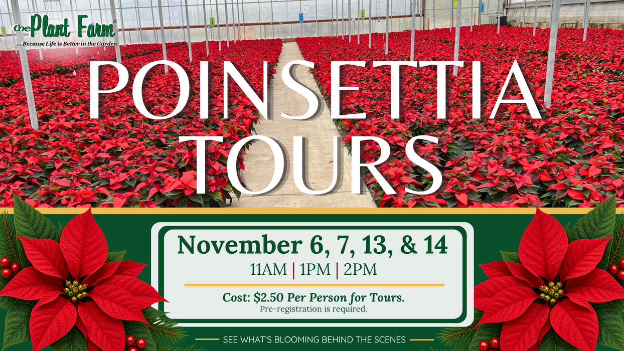 Poinsettia Tour at The Plant Farm® -Saturday, November 14 @ 11AM