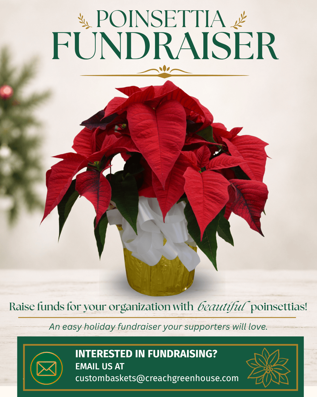 Poinsettia Holiday Fundraising Opportunity
