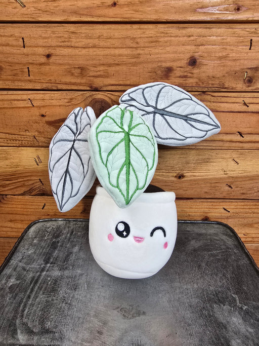 The Plant Farm® Alocasia Silver Dragon Plush