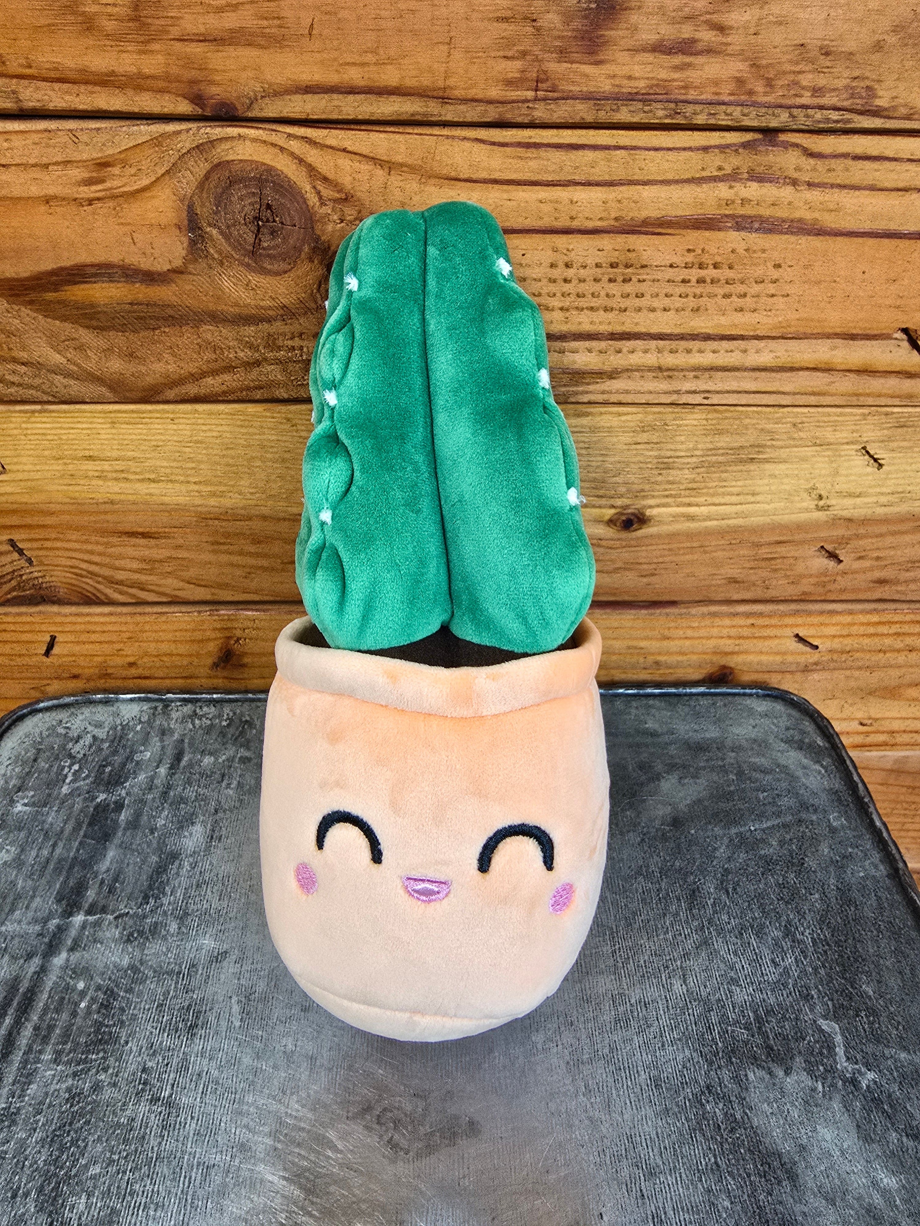 cactus plush toy Cuddly Cactus Plush — The Plant Farm®
