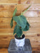 The Plant Farm® Houseplants 15s Philodendron Splendid on a Moss Pole - Pick Your Plant, 6" Plant