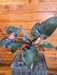 The Plant Farm® Houseplants 9s Philodendron Pink Princess - Pick Your Plant, 6" Plant