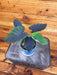 The Plant Farm® Houseplants Colocasia Black Ruffles, 4" Plant