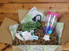 The Plant Farm® Houseplants Mother's Day Gift Set: Rowleyanus Bathtub Planter