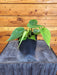 The Plant Farm® Houseplants Philodendron Cordatum, 4" Plant