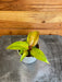 The Plant Farm® Houseplants Philodendron Orange Marmalade, 2" Plant