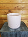 The Plant Farm® Houseplants Spathiphyllum Domino Gift Set - Pink Pot, 6" Plant