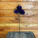 The Plant Farm® Plant Accessories Decorative Pumpkin Bundle - Purple