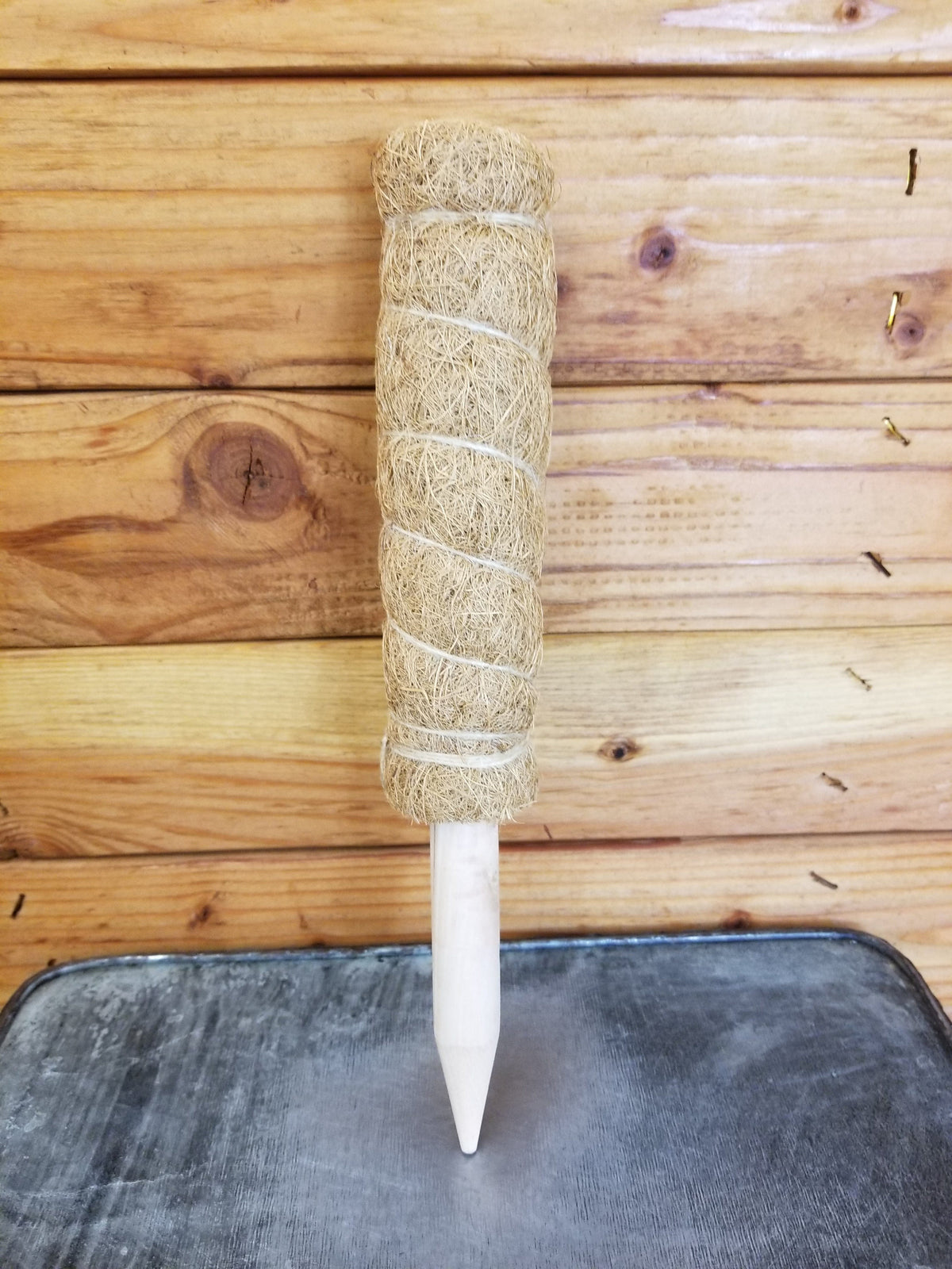 Moss Pole-Small — The Plant Farm®