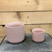 The Plant Farm® Pottery The Kendall Pink Ceramic Pot