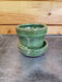 The Plant Farm® Pottery The Teacup Pot - Matcha Green