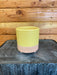 The Plant Farm® Pottery Yellow The Spring Sunset, Ceramic Pots