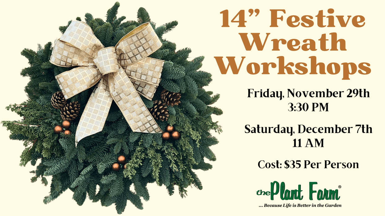 The Plant Farm® Ticket 14" Wreath Workshop- Friday, November 29th at 3:30PM OR Saturday, December 7th at 11AM