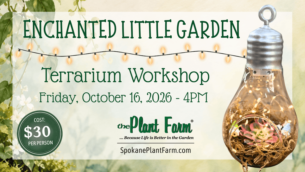 The Plant Farm® Ticket Enchanted Little Garden Terrarium Workshop - Friday, October 16th @ 4PM