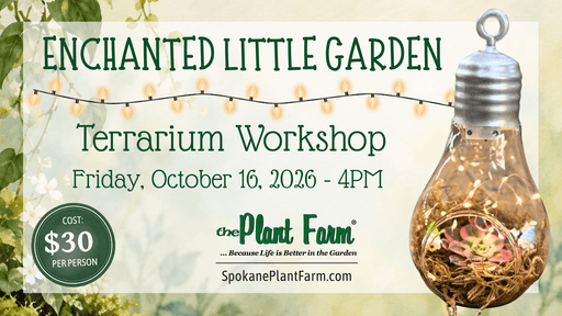 The Plant Farm® Ticket Enchanted Little Garden Terrarium Workshop - Friday, October 16th @ 4PM