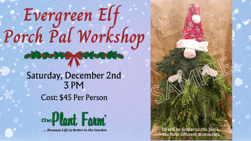 The Plant Farm® Ticket Evergreen Elf Porch Pal Workshop- 3PM- Saturday, December 2nd