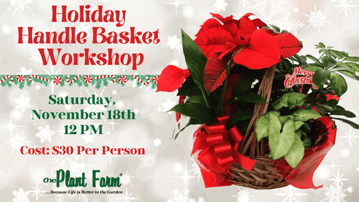 The Plant Farm® Ticket Holiday Handle Basket Workshop- 12 PM -Saturday, November 18th