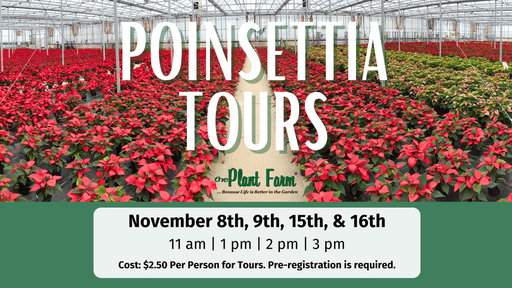 The Plant Farm® Ticket Poinsettia Greenhouse Tours -November 8th, 9th, 15th and 16th 2024