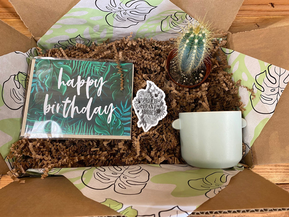 the plant farm cactus happy birthday cactus gift set
