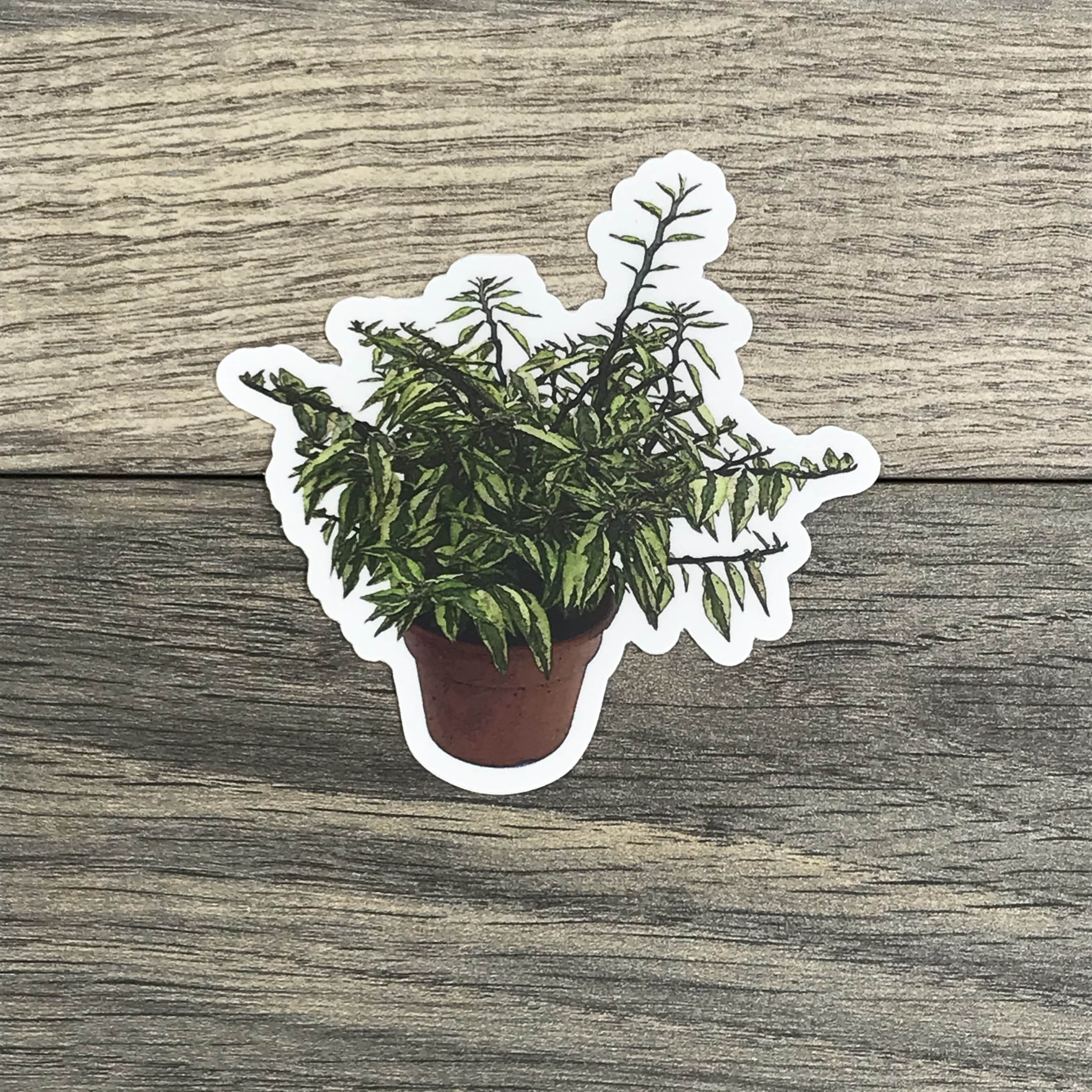 House Plants Sticker Sheet