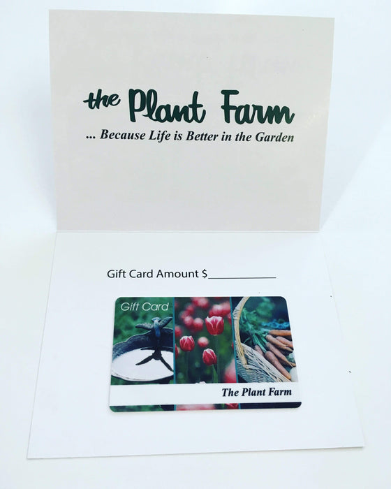 plant house gift card Gift Card for In-Person Purchases At the Plant Farm — The Plant Farm®