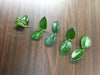 The Plant Farm Houseplants Aeschynanthus Lipstick Mona Lisa, Cutting x5