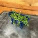 The Plant Farm® Houseplants Senecio Rowleyanus String of Pearls, Bathtub Planter - blue