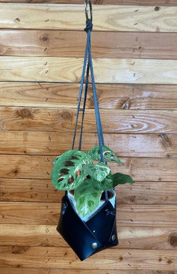 The Plant Farm Plant Accessories Vegan Leather Hanging Plant Basket-Black