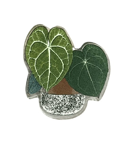 The Plant Farm Stickers and Keychains Anthurium Clarinervium Pin