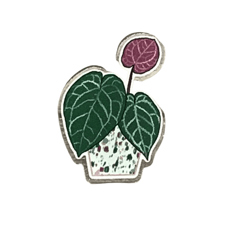The Plant Farm Stickers and Keychains Anthurium Crystallinum Pin