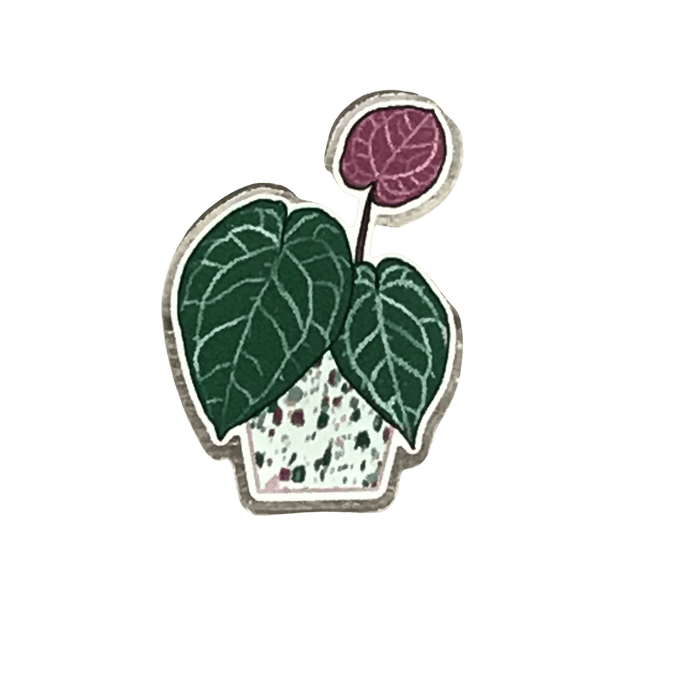The Plant Farm Stickers and Keychains Anthurium Crystallinum Pin