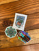 The Plant Farm Stickers and Keychains Holiday Sticker Pack