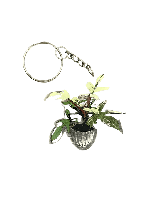 The Plant Farm Stickers and Keychains Philodendron Florida Ghost Keychain
