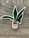 The Plant Farm Stickers and Keychains Philodendron Lynette Sticker