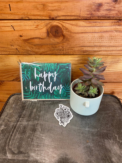 The Plant Farm® Succulents Happy Birthday Succulent Gift Set