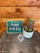 The Plant Farm® Succulents Happy Birthday Succulent Gift Set