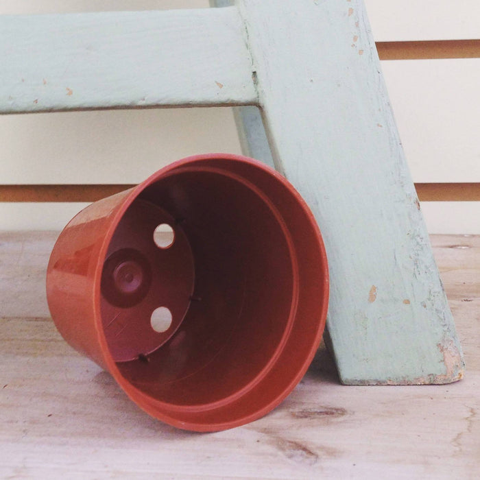 2 plant pot 2" Growing Pot — The Plant Farm®