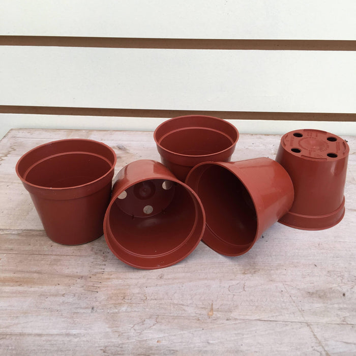 plant plug pots Starter Kit for 5 Small Plugs — The Plant Farm®